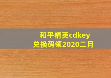 和平精英cdkey兑换码领2020二月