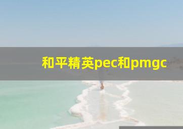 和平精英pec和pmgc