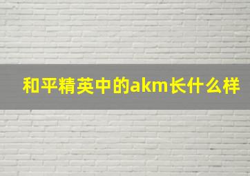 和平精英中的akm长什么样