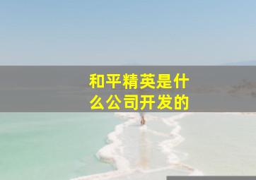 和平精英是什么公司开发的