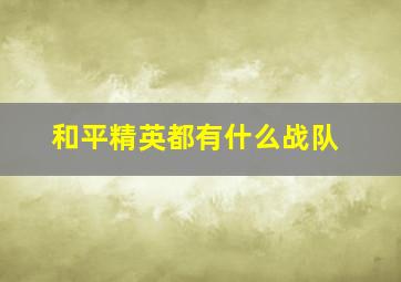 和平精英都有什么战队