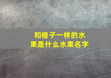 和橙子一样的水果是什么水果名字