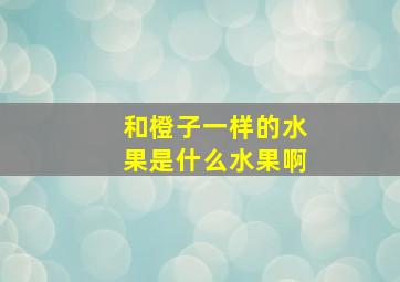 和橙子一样的水果是什么水果啊