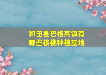 和田县巴格其镇有哪些核桃种植基地