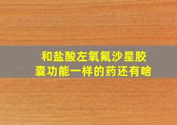 和盐酸左氧氟沙星胶囊功能一样的药还有啥