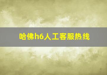 哈佛h6人工客服热线