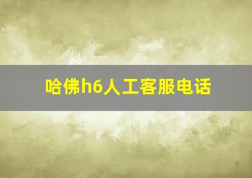 哈佛h6人工客服电话