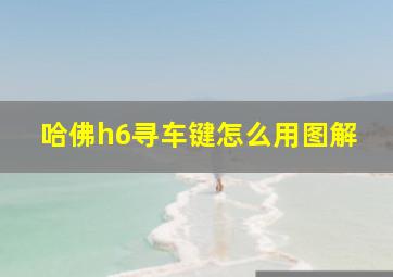 哈佛h6寻车键怎么用图解