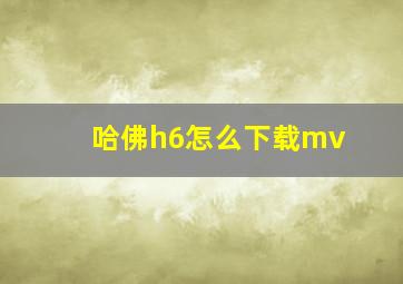 哈佛h6怎么下载mv