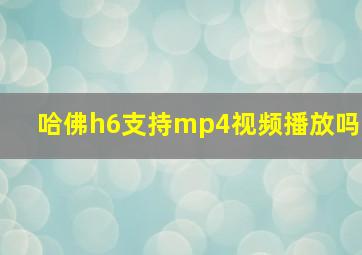 哈佛h6支持mp4视频播放吗