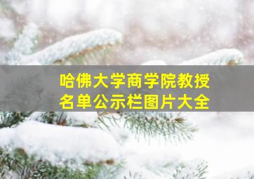 哈佛大学商学院教授名单公示栏图片大全