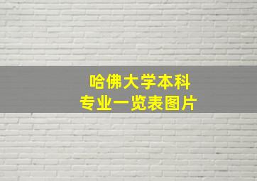 哈佛大学本科专业一览表图片