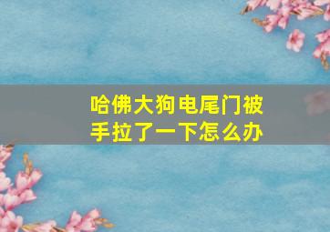 哈佛大狗电尾门被手拉了一下怎么办