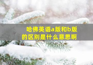 哈佛英语a版和b版的区别是什么意思啊