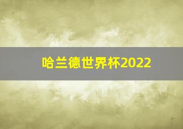 哈兰德世界杯2022