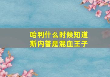 哈利什么时候知道斯内普是混血王子