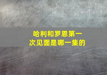 哈利和罗恩第一次见面是哪一集的