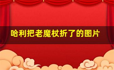 哈利把老魔杖折了的图片