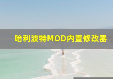 哈利波特MOD内置修改器