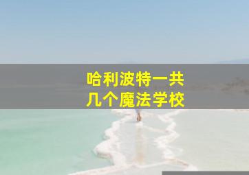 哈利波特一共几个魔法学校