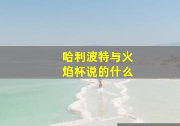 哈利波特与火焰杯说的什么