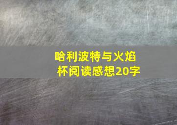 哈利波特与火焰杯阅读感想20字