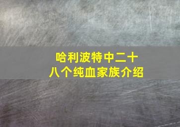 哈利波特中二十八个纯血家族介绍