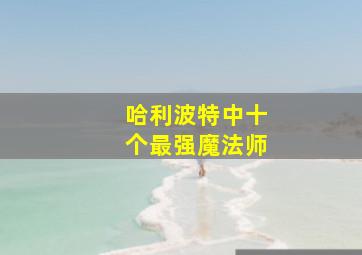 哈利波特中十个最强魔法师