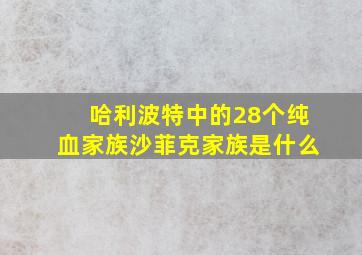 哈利波特中的28个纯血家族沙菲克家族是什么