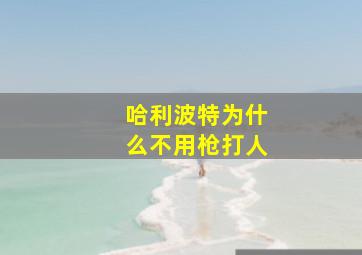 哈利波特为什么不用枪打人