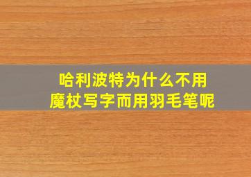 哈利波特为什么不用魔杖写字而用羽毛笔呢