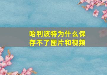 哈利波特为什么保存不了图片和视频