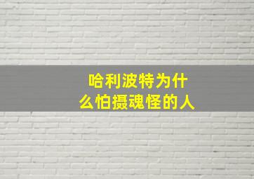 哈利波特为什么怕摄魂怪的人