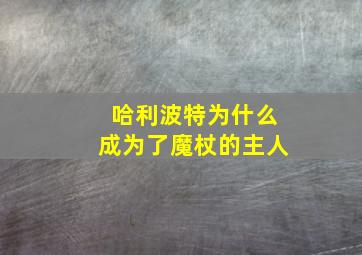 哈利波特为什么成为了魔杖的主人