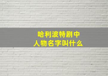 哈利波特剧中人物名字叫什么