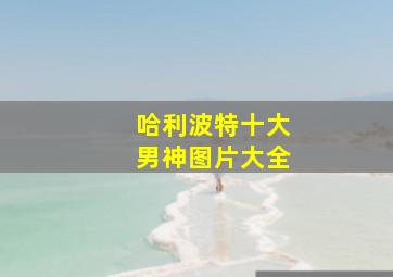 哈利波特十大男神图片大全