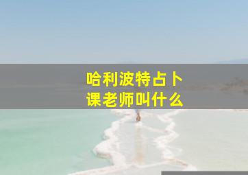 哈利波特占卜课老师叫什么