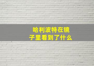 哈利波特在镜子里看到了什么