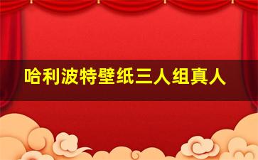 哈利波特壁纸三人组真人