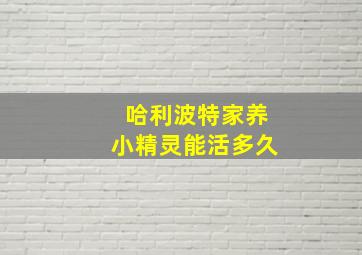 哈利波特家养小精灵能活多久