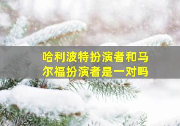 哈利波特扮演者和马尔福扮演者是一对吗