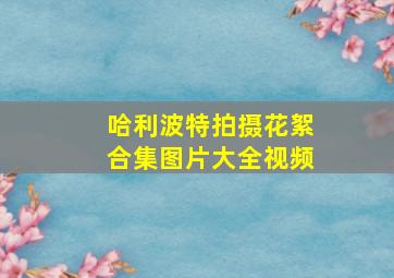 哈利波特拍摄花絮合集图片大全视频