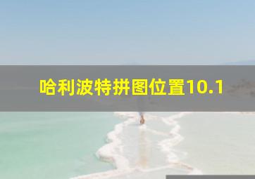 哈利波特拼图位置10.1