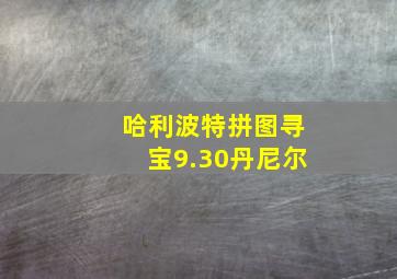 哈利波特拼图寻宝9.30丹尼尔