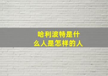 哈利波特是什么人是怎样的人