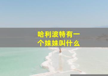 哈利波特有一个妹妹叫什么