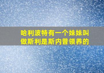 哈利波特有一个妹妹叫做斯利是斯内普领养的