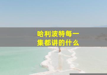 哈利波特每一集都讲的什么