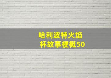 哈利波特火焰杯故事梗概50