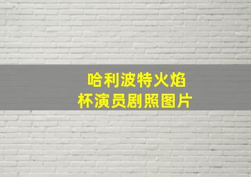 哈利波特火焰杯演员剧照图片